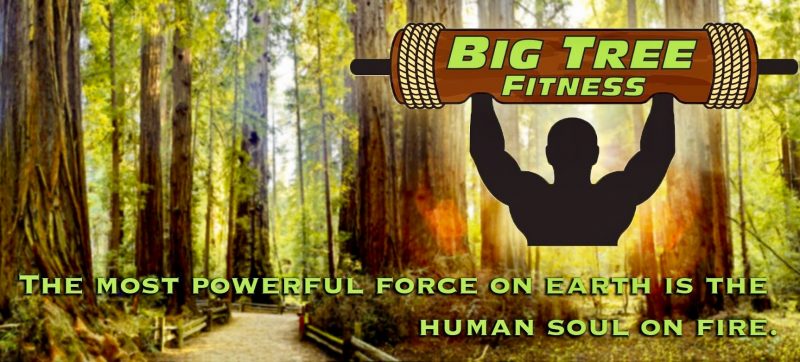 Big Tree Fitness